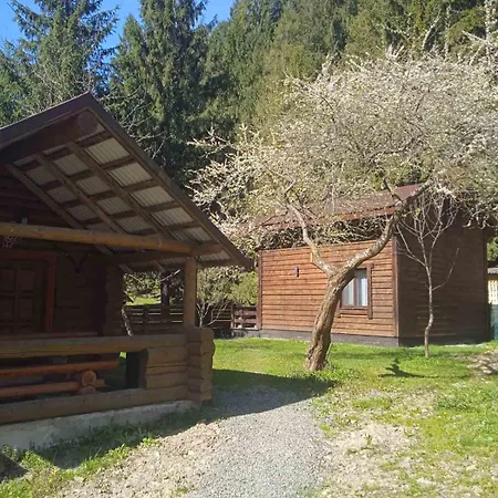 арпад * Siněvir